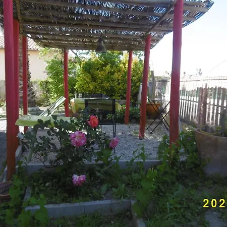 Apartment Rez De Chaussee Climatise Dans