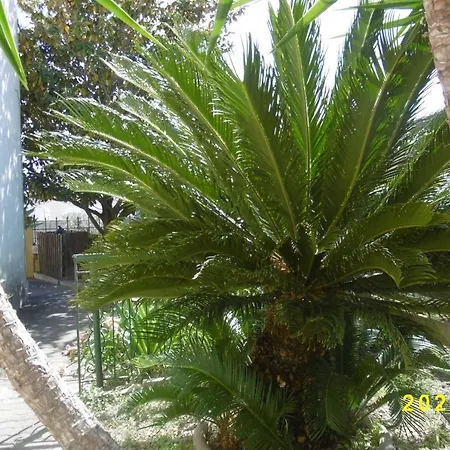 Apartment Rez De Chaussee Climatise Dans Aigues-Mortes