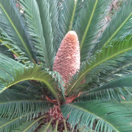 Rez De Chaussee Climatise Dans *