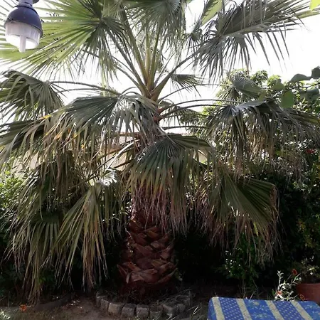 Rez De Chaussee Climatise Dans شقة