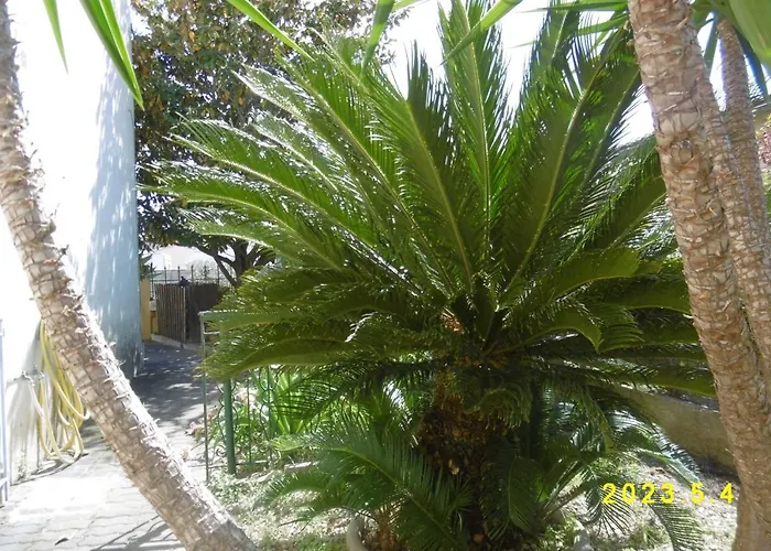 Appartement Rez De Chaussée Climatisé Dans Aigues-Mortes